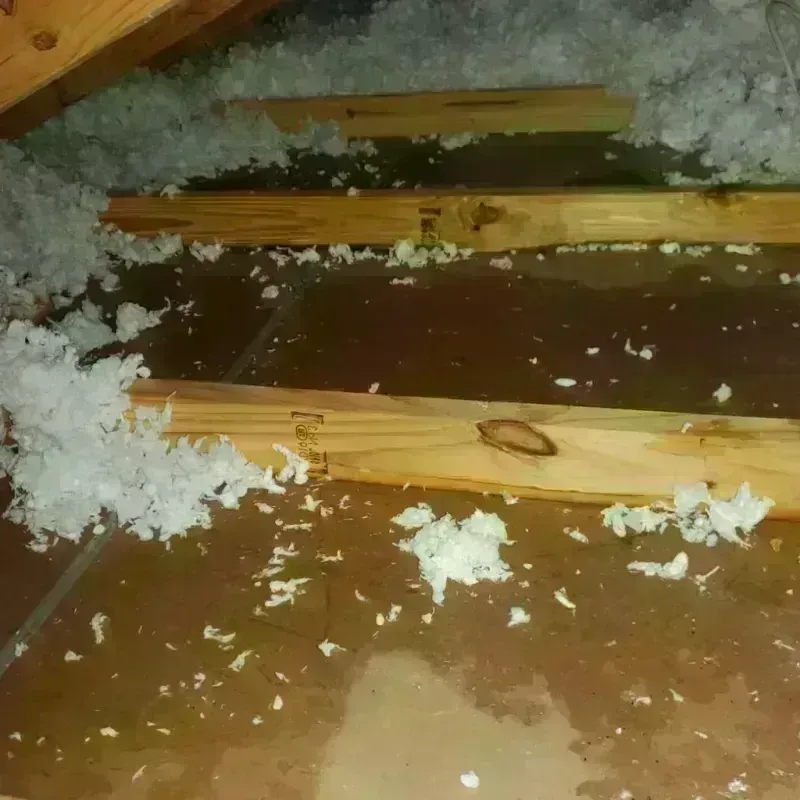 Attic Water Damage in Hudsonville, MI